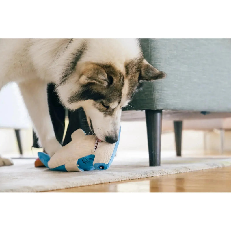 P.L.A.Y | Ocean Buddies - Hammerhead Shark-P.L.A.Y-Love My Hound