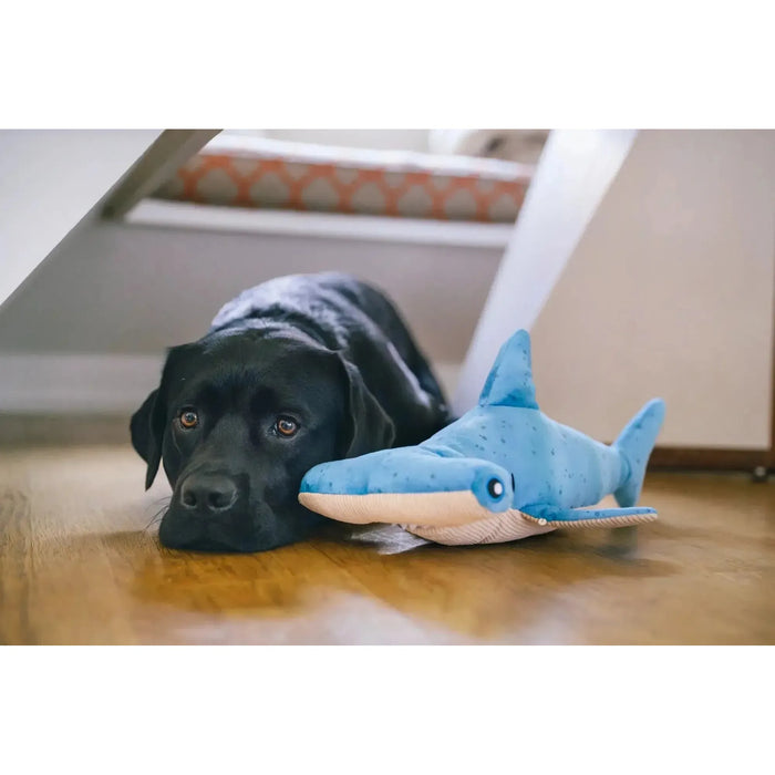 P.L.A.Y | Ocean Buddies - Hammerhead Shark-P.L.A.Y-Love My Hound