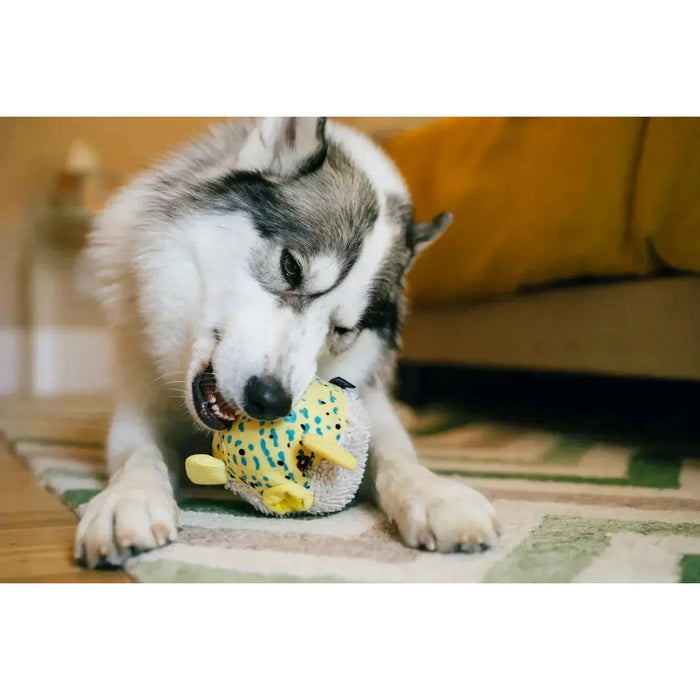 P.L.A.Y | Ocean Buddies - Puffer Fish-P.L.A.Y-Love My Hound