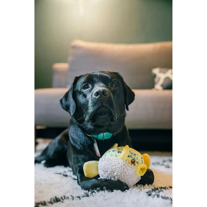 P.L.A.Y | Ocean Buddies - Puffer Fish-P.L.A.Y-Love My Hound