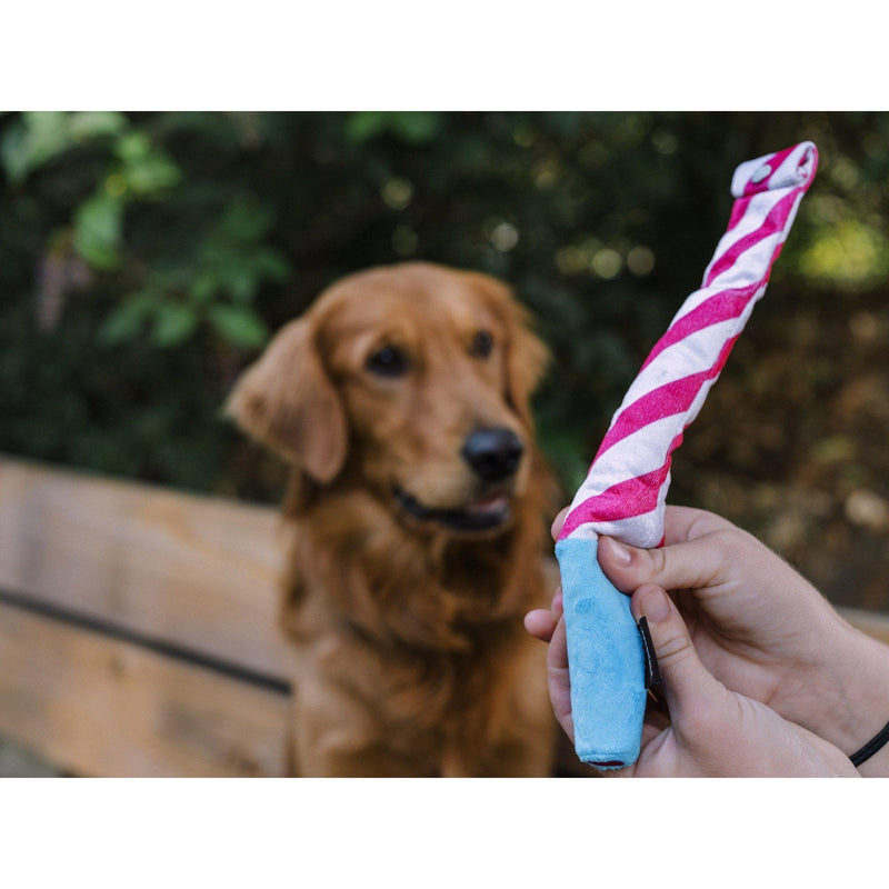 P.L.A.Y | Party Time - Raise The Woof Party Horn Plush Dog Toy-P.L.A.Y-Love My Hound