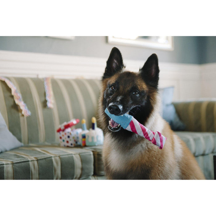 P.L.A.Y | Party Time - Raise The Woof Party Horn Plush Dog Toy-P.L.A.Y-Love My Hound