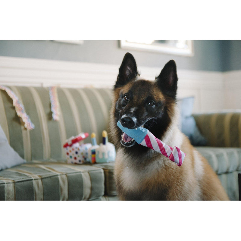P.L.A.Y | Party Time - Raise The Woof Party Horn Plush Dog Toy-P.L.A.Y-Love My Hound