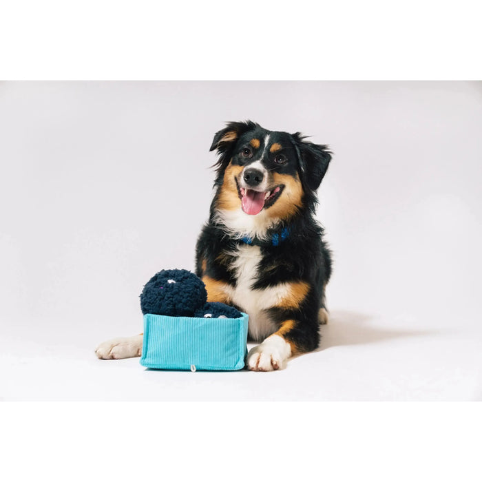 P.L.A.Y | Picked Fresh Blue Beg-rries - Plush Dog Toy-P.L.A.Y-Love My Hound