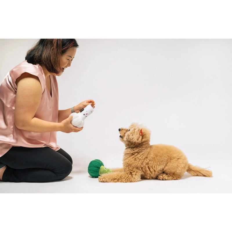 P.L.A.Y | Picked Fresh Veggie Munch Duo - Plush Dog Toy-P.L.A.Y-Love My Hound