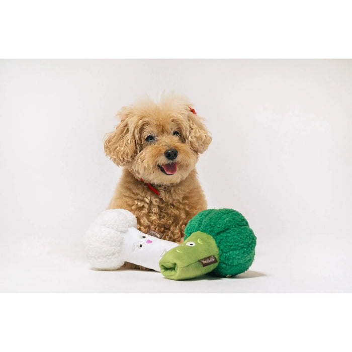P.L.A.Y | Picked Fresh Veggie Munch Duo - Plush Dog Toy-P.L.A.Y-Love My Hound