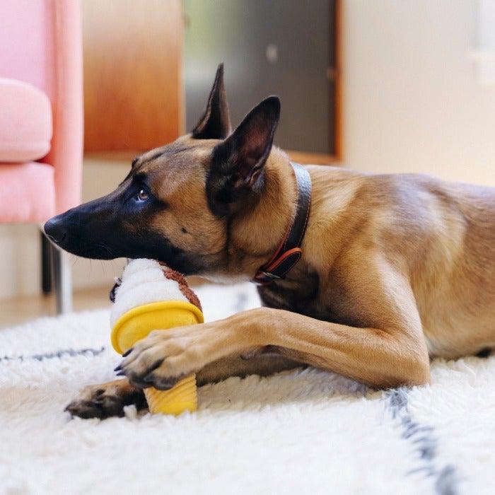 P.L.A.Y - Snack Attack - Swirls n Slobbers Ice Cream Dog Toy-P.L.A.Y-Love My Hound