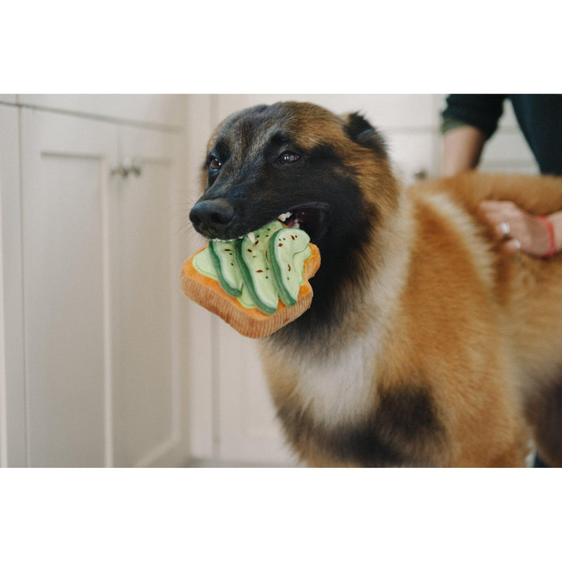 P.L.A.Y. - Barking Brunch Avo-Doggo Toast - Plush Dog Toy-P.L.A.Y-Love My Hound