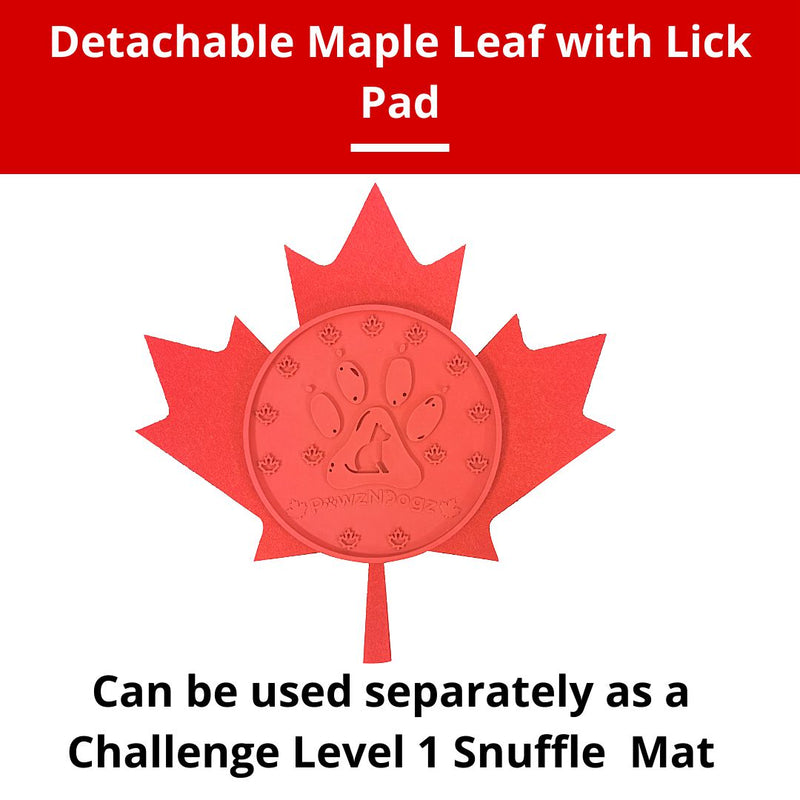 PawzNDogz | Boundless Love™ Anti-Bite Snuffle Mat | Challenge Level 3-PawzNDogz-Love My Hound