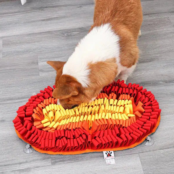 PawzNDogz | Fire & Ice™ AntiBite (Fire) Snuffle Mat | Challenge Level 2