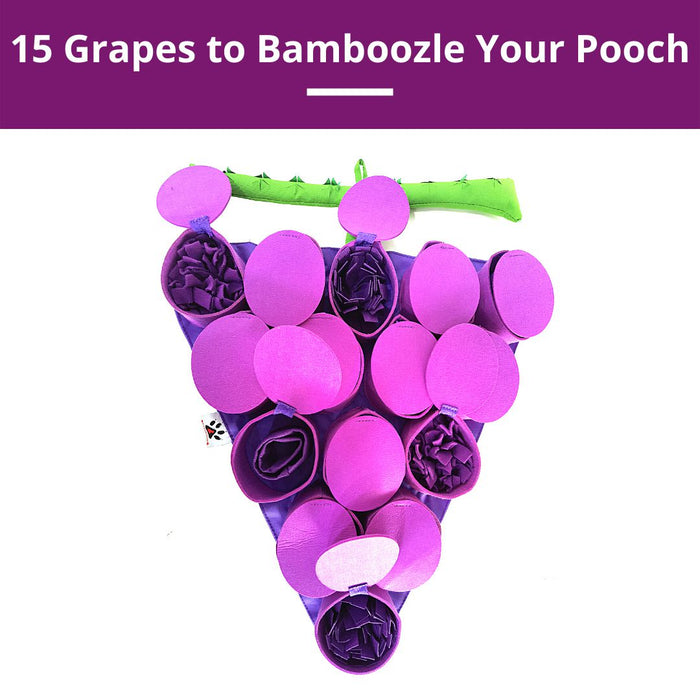 PawzNDogz | Forbidden Grapes ™ Snuffle Mat | Challenge Level 4-PawzNDogz-Love My Hound