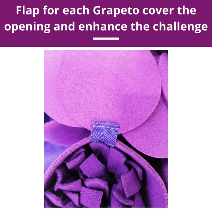 PawzNDogz | Forbidden Grapes ™ Snuffle Mat | Challenge Level 4-PawzNDogz-Love My Hound