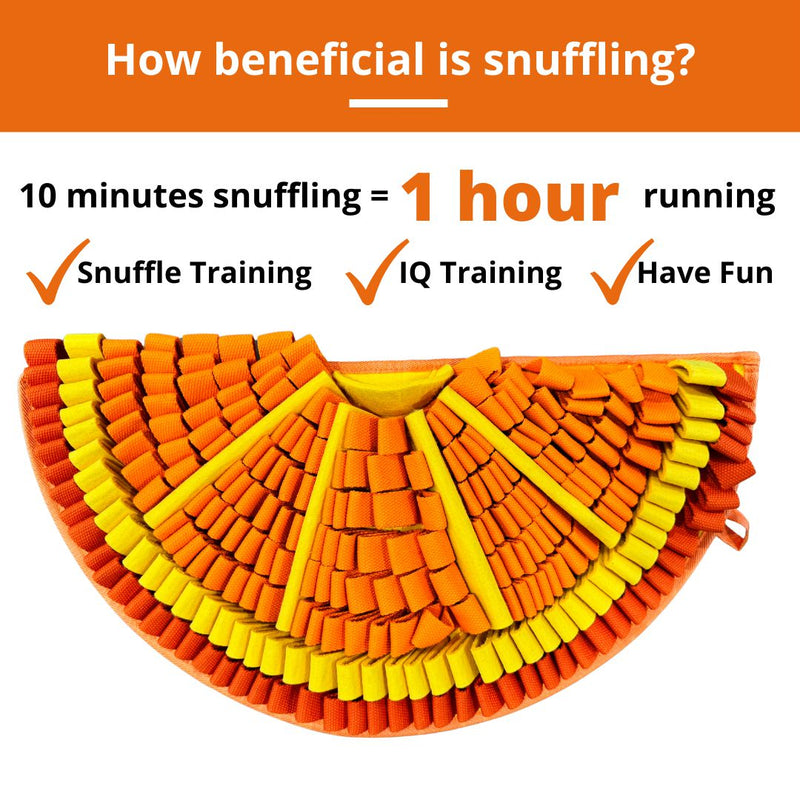 PawzNDogz | Tangy Orange™ Snuffle Mat - Challenge Level 2-PawzNDogz-Love My Hound