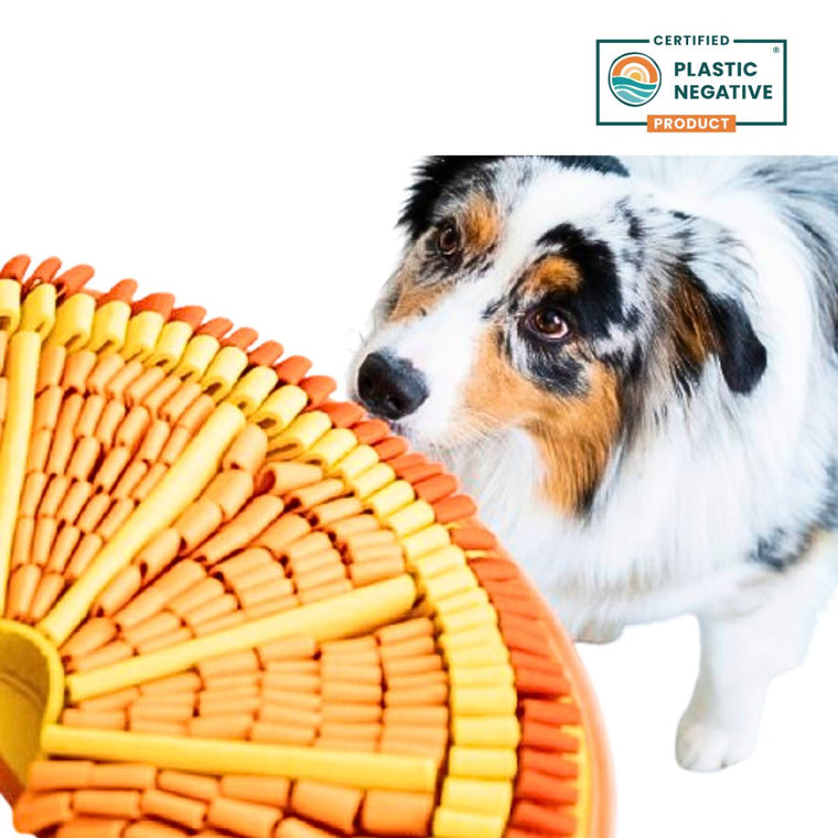 PawzNDogz | Tangy Orange™ Snuffle Mat - Challenge Level 2