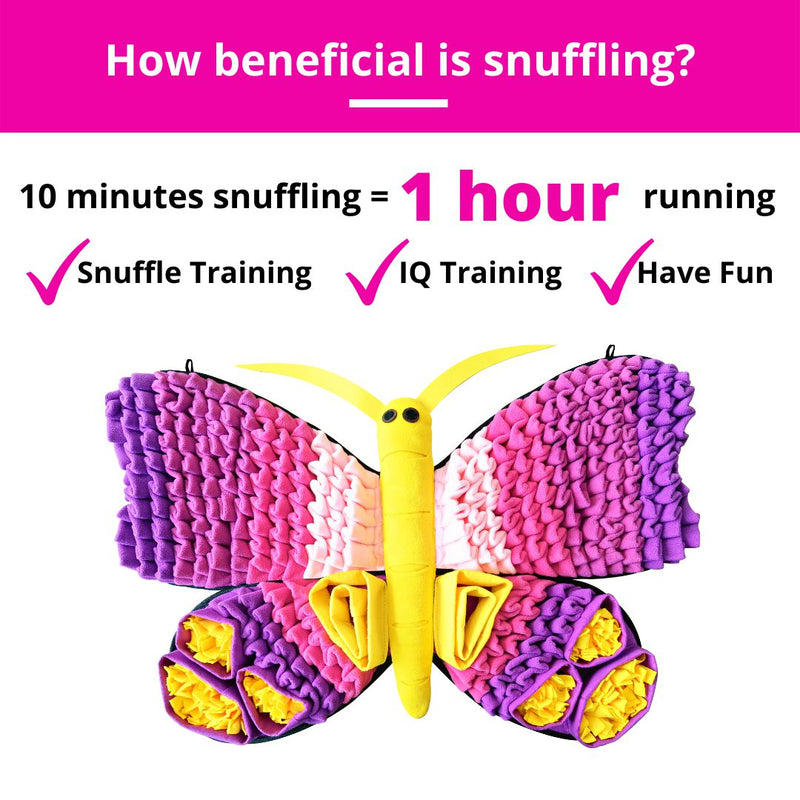 PawznDogz | Radiant Butterfly™ Snuffle Mat | Challenge Level 3-PawzNDogz-Love My Hound