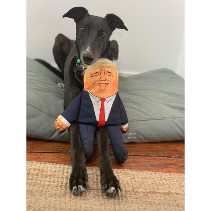 Pet Hates | Donald Trump - Dog Toy-Pet Hates-Love My Hound