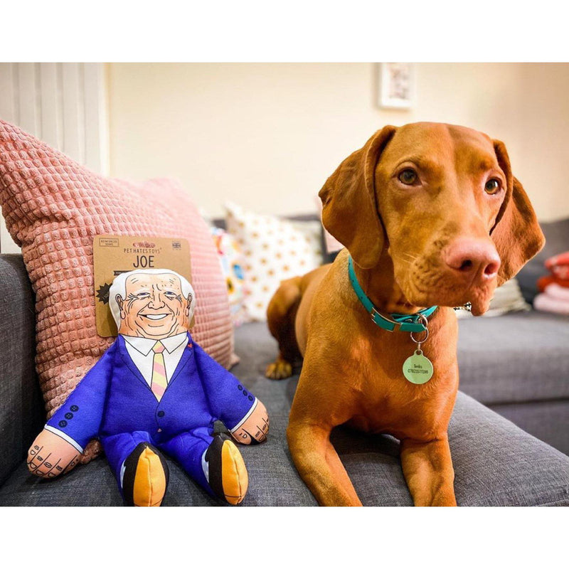 Pet Hates | Joe Biden - Dog Toy-Pet Hates-Love My Hound