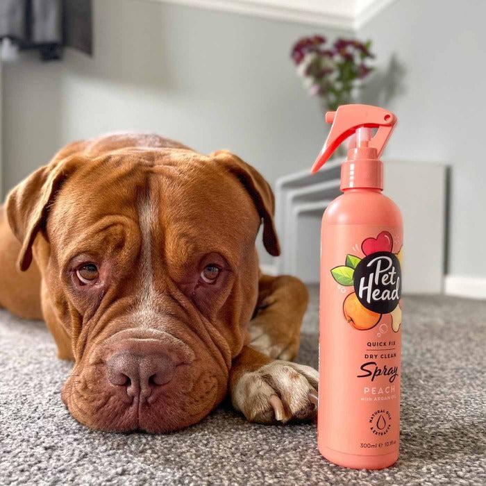 Pet Head - Quick Fix Peach Shampoo Spray 300ml-Pet Head-Love My Hound