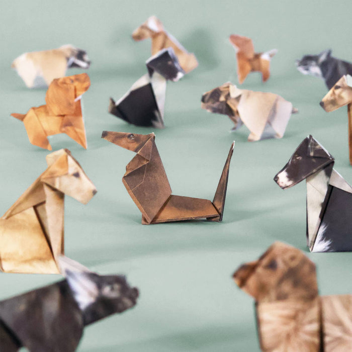 Pikkii | Oragami Paper Pups Kit-Pikkii-Love My Hound