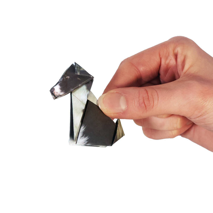 Pikkii | Oragami Paper Pups Kit-Pikkii-Love My Hound