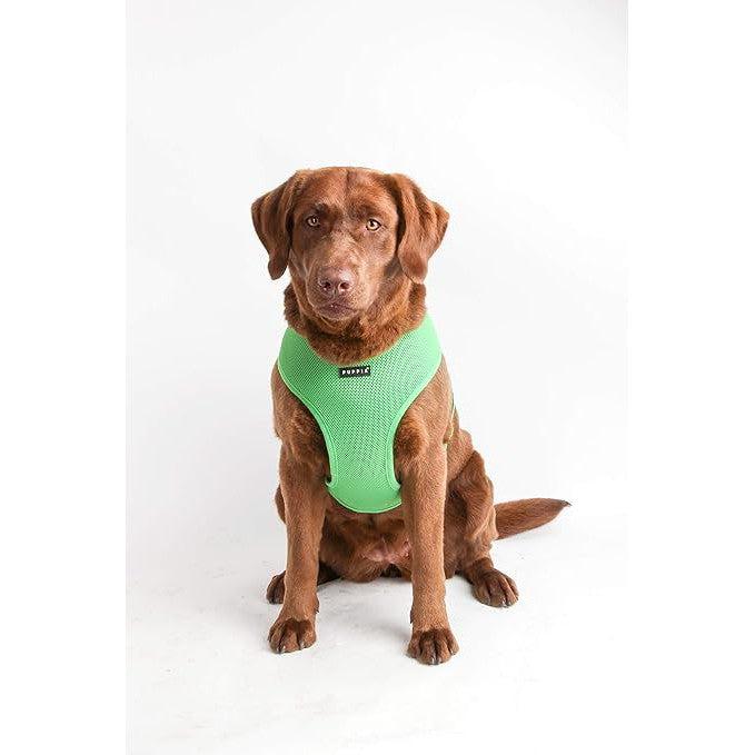 Puppia Soft Dog Harness (A) - Green-Puppia-Love My Hound