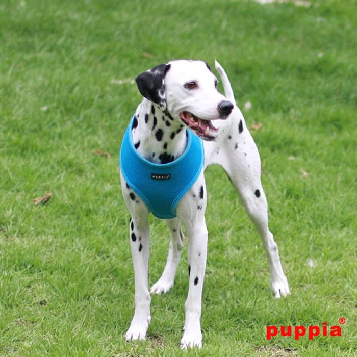 Puppia Soft Dog Harness (A) - Turquoise-Puppia-Love My Hound