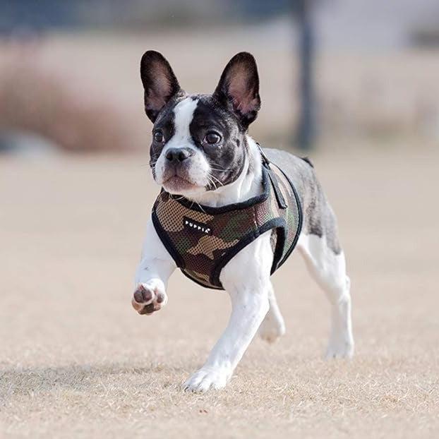 Puppia Soft Jacket Harness (B) Camouflage