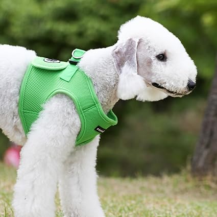 Puppia Soft Jacket Harness (B) - Green