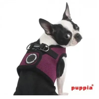 Puppia Soft Jacket Harness (B) - Purple-Puppia-Love My Hound