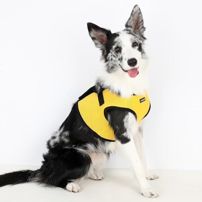 Puppia Soft Vest Dog Harness (B) - Yellow-Puppia-Love My Hound