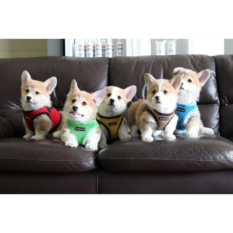 Puppia Soft Vest Dog Harness (B) - Yellow-Puppia-Love My Hound