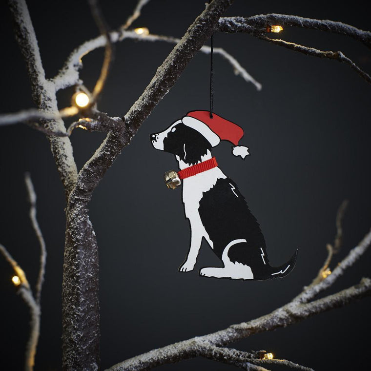 Sweet William | Christmas Tree Decoration - Springer Spaniel ( Black & White )