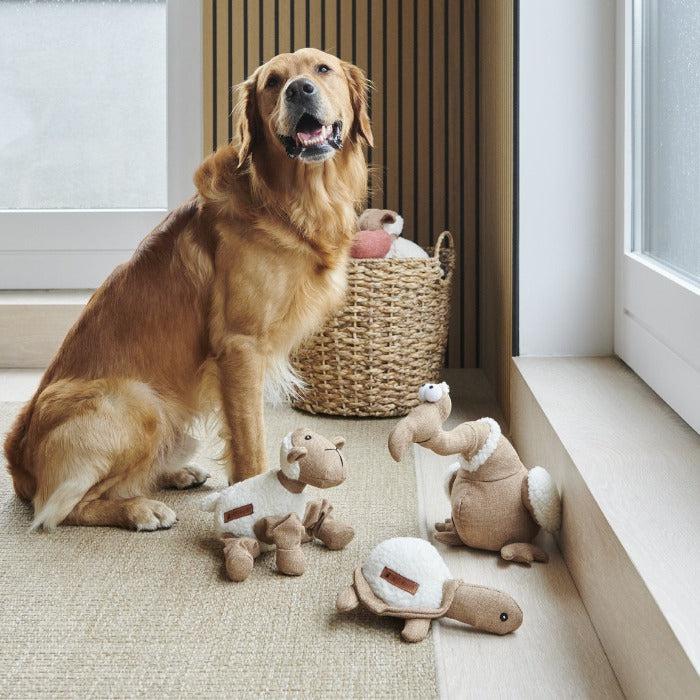 Sweet William - Tarquin the Dodo Dog Toy-Sweet William-Love My Hound