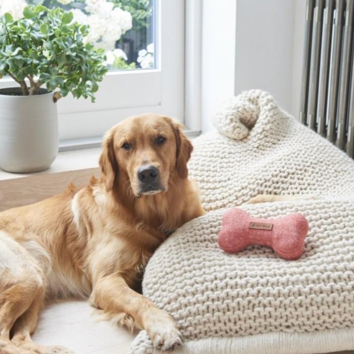 Sweet William - Tweed Dog Bone Toy - Orange-Sweet William-Love My Hound