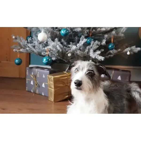 The Innocent Hound - Christmas Treat Bauble | Dog Treats-The Innocent Hound-Love My Hound