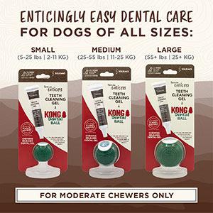 Tropiclean Enticers - Dental Kong Ball Kit - Smoked Beef and Brisket-Tropiclean-Love My Hound