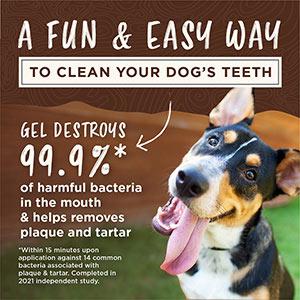 Tropiclean Enticers - Dental Kong Ball Kit - Smoked Beef and Brisket-Tropiclean-Love My Hound