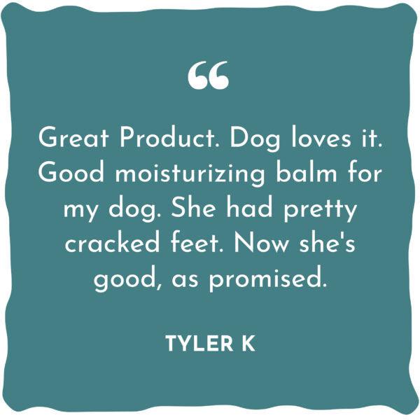 WildWash PRO | Magic Healing Paw Balm for Dogs - 50ml-WildWash-Love My Hound