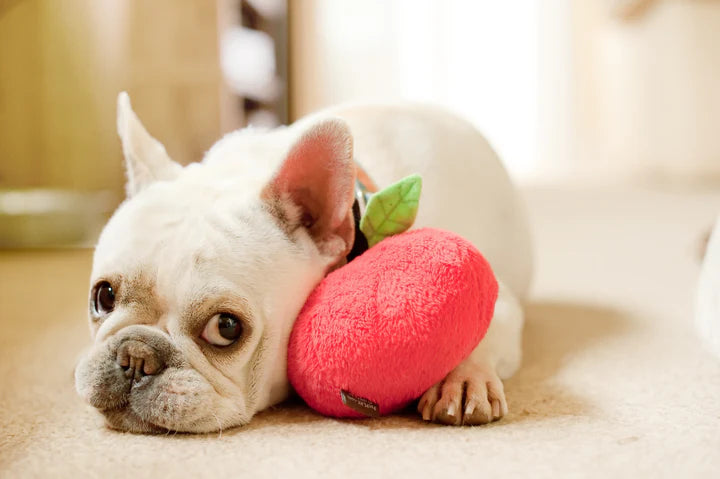 P.L.A.Y |  Garden Fresh Apple - Plush Dog Toy