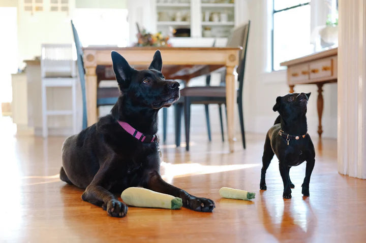 P.L.A.Y |  Garden Fresh Courgette - Plush Dog Toy