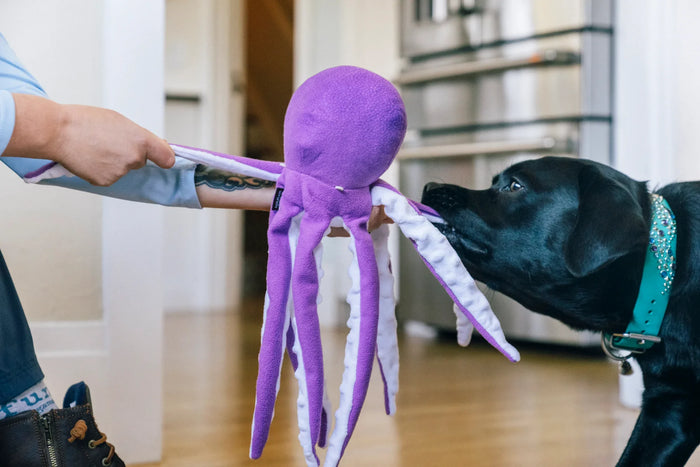 P.L.A.Y |  Ocean Buddies - Octopus