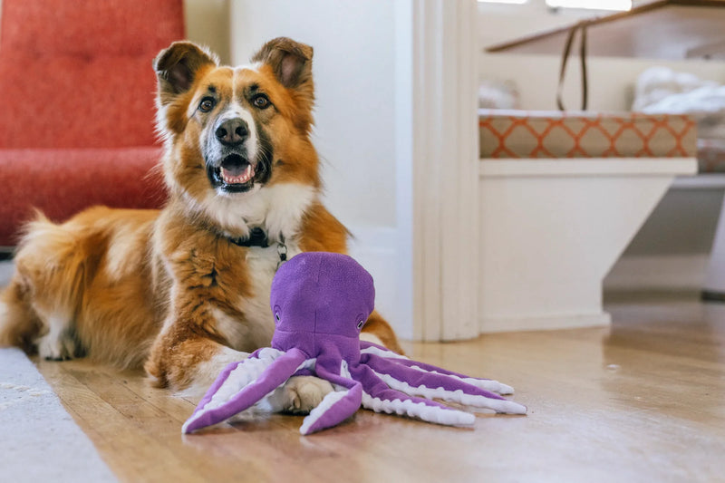 P.L.A.Y |  Ocean Buddies - Octopus