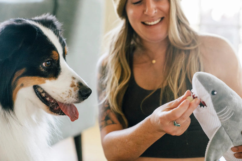 P.L.A.Y |  Ocean Buddies - Great White Shark