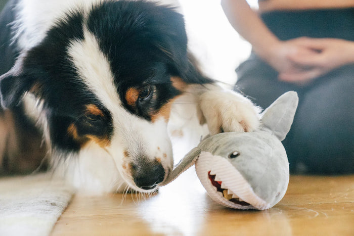 P.L.A.Y |  Ocean Buddies - Great White Shark