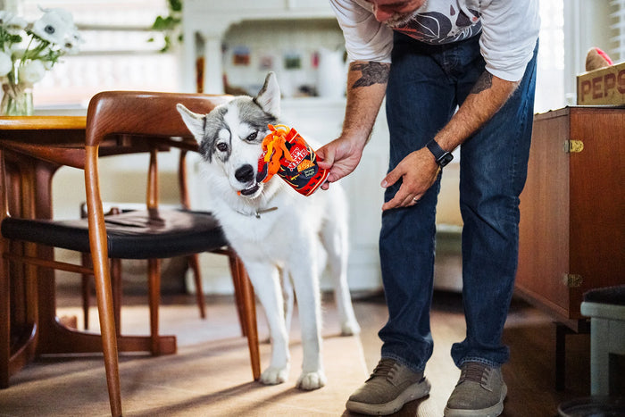 P.L.A.Y |  International Classic Slurp It Up - Plush Dog Toy