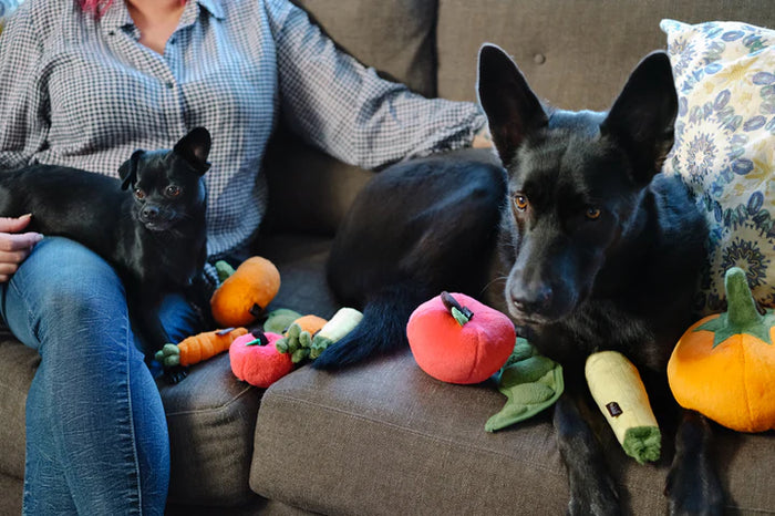 P.L.A.Y |  Garden Fresh Apple - Plush Dog Toy