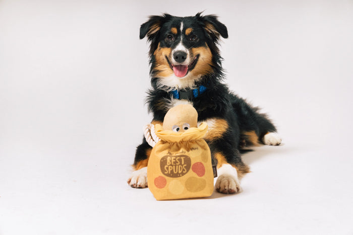 P.L.A.Y |  Picked Fresh Potato Pals - Plush Dog Toy