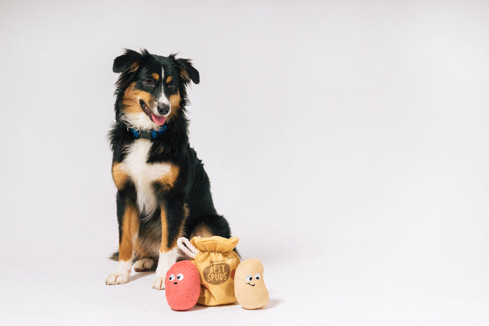 P.L.A.Y |  Picked Fresh Potato Pals - Plush Dog Toy