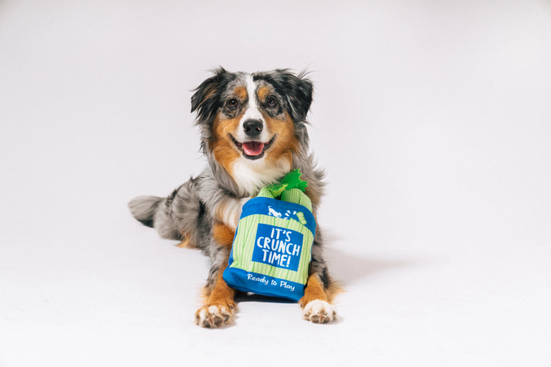 P.L.A.Y |  Picked French Crunch Bunch - Plush Dog Toy