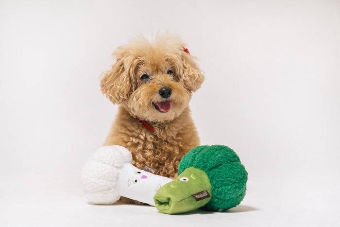 P.L.A.Y |  Picked Fresh Veggie Munch Duo - Plush Dog Toy